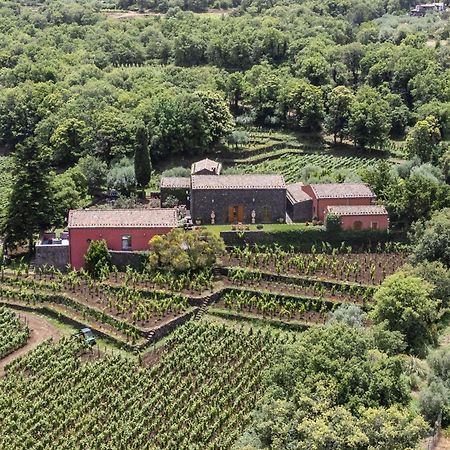 Terrazze Dell'Etna - Country Rooms And Apartments 란다조 외부 사진