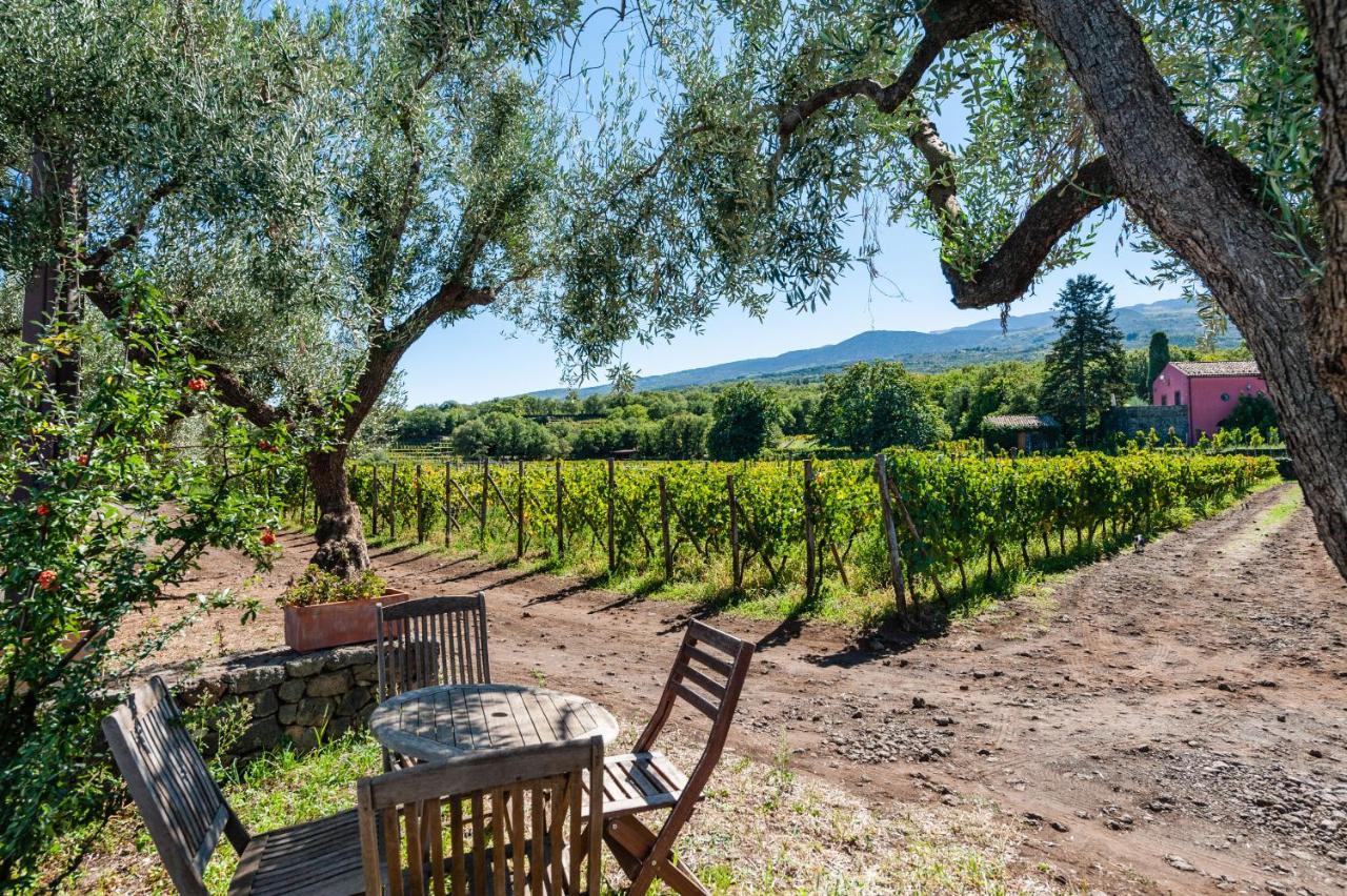 Terrazze Dell'Etna - Country Rooms And Apartments 란다조 외부 사진