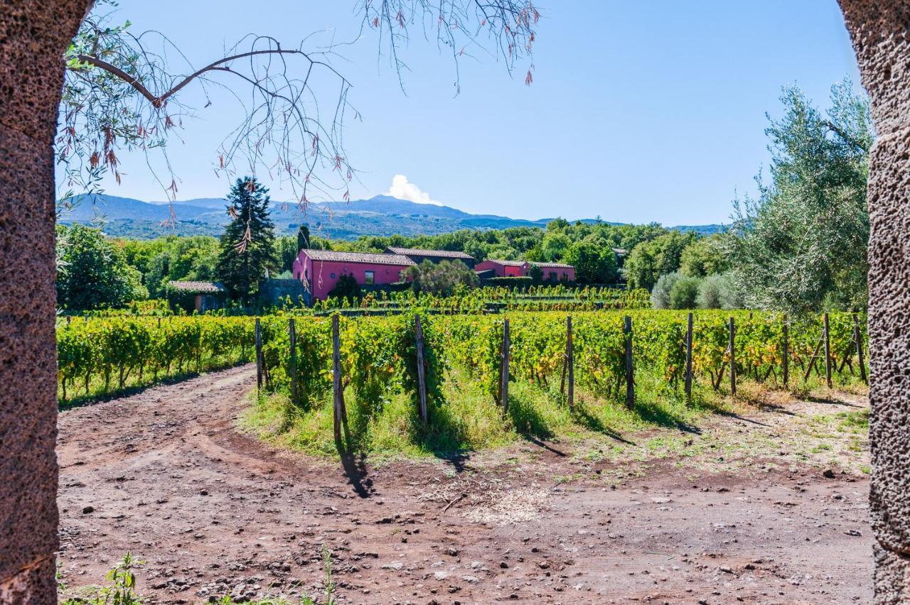 Terrazze Dell'Etna - Country Rooms And Apartments 란다조 외부 사진
