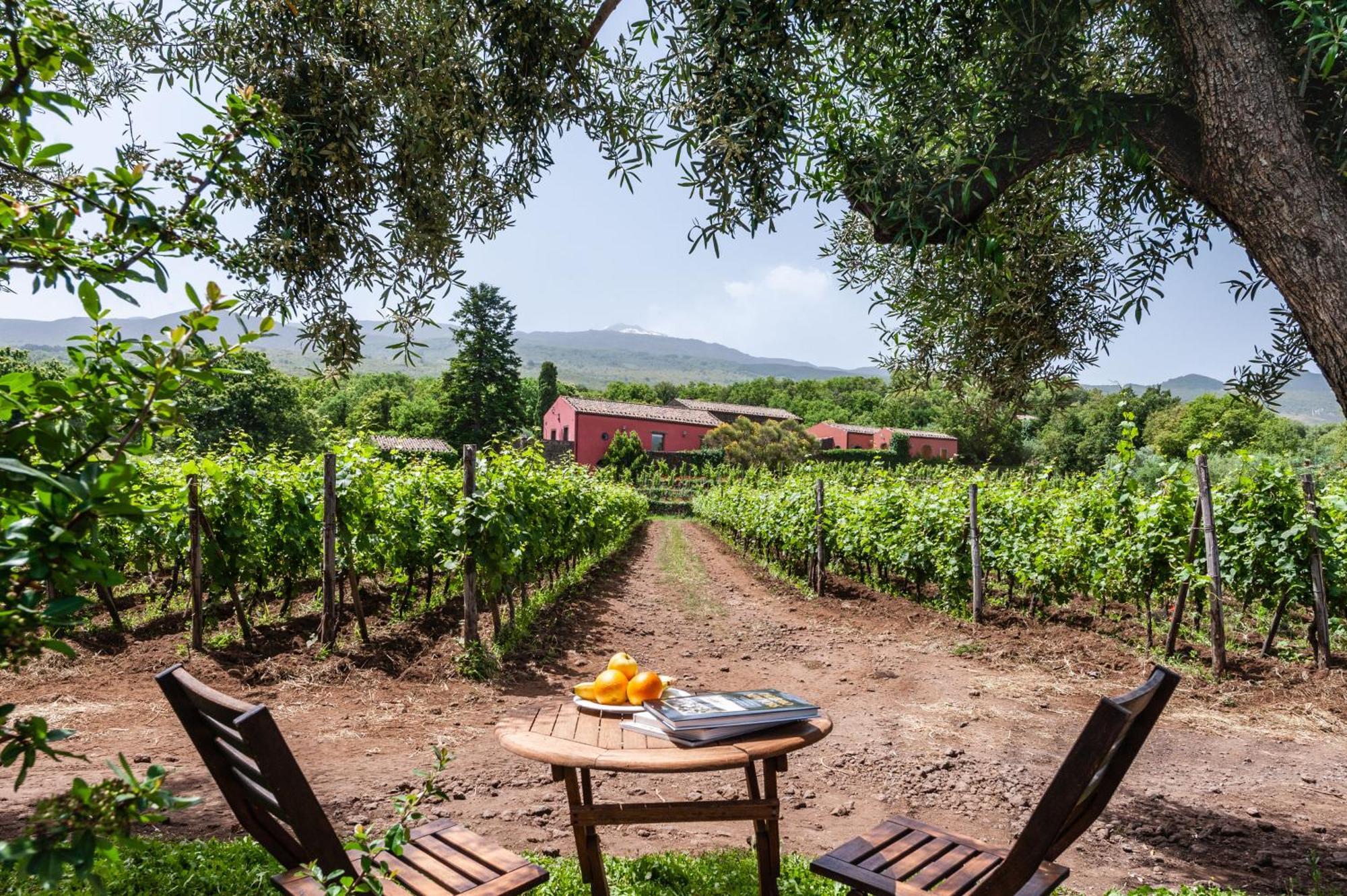 Terrazze Dell'Etna - Country Rooms And Apartments 란다조 외부 사진