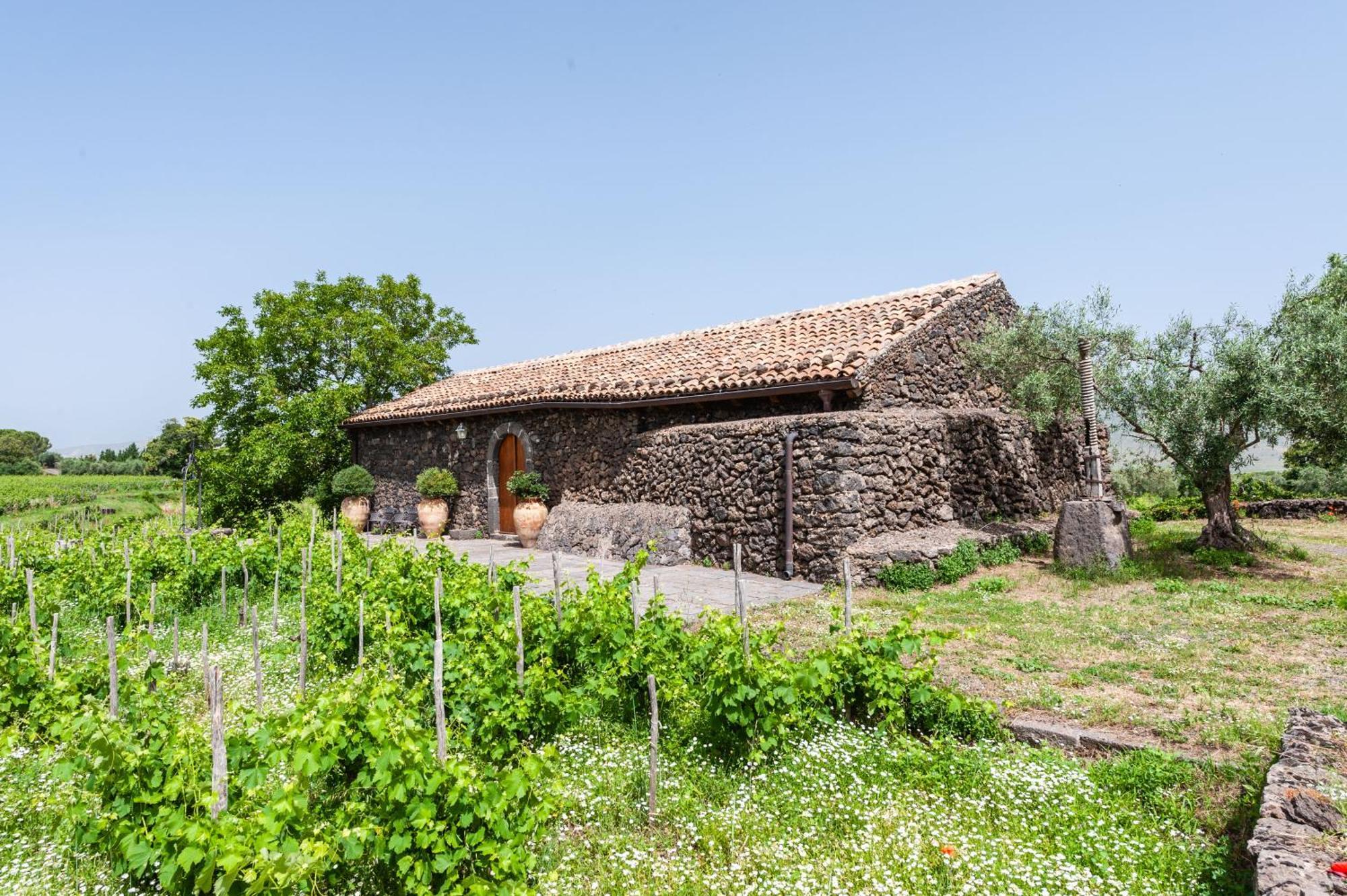 Terrazze Dell'Etna - Country Rooms And Apartments 란다조 외부 사진