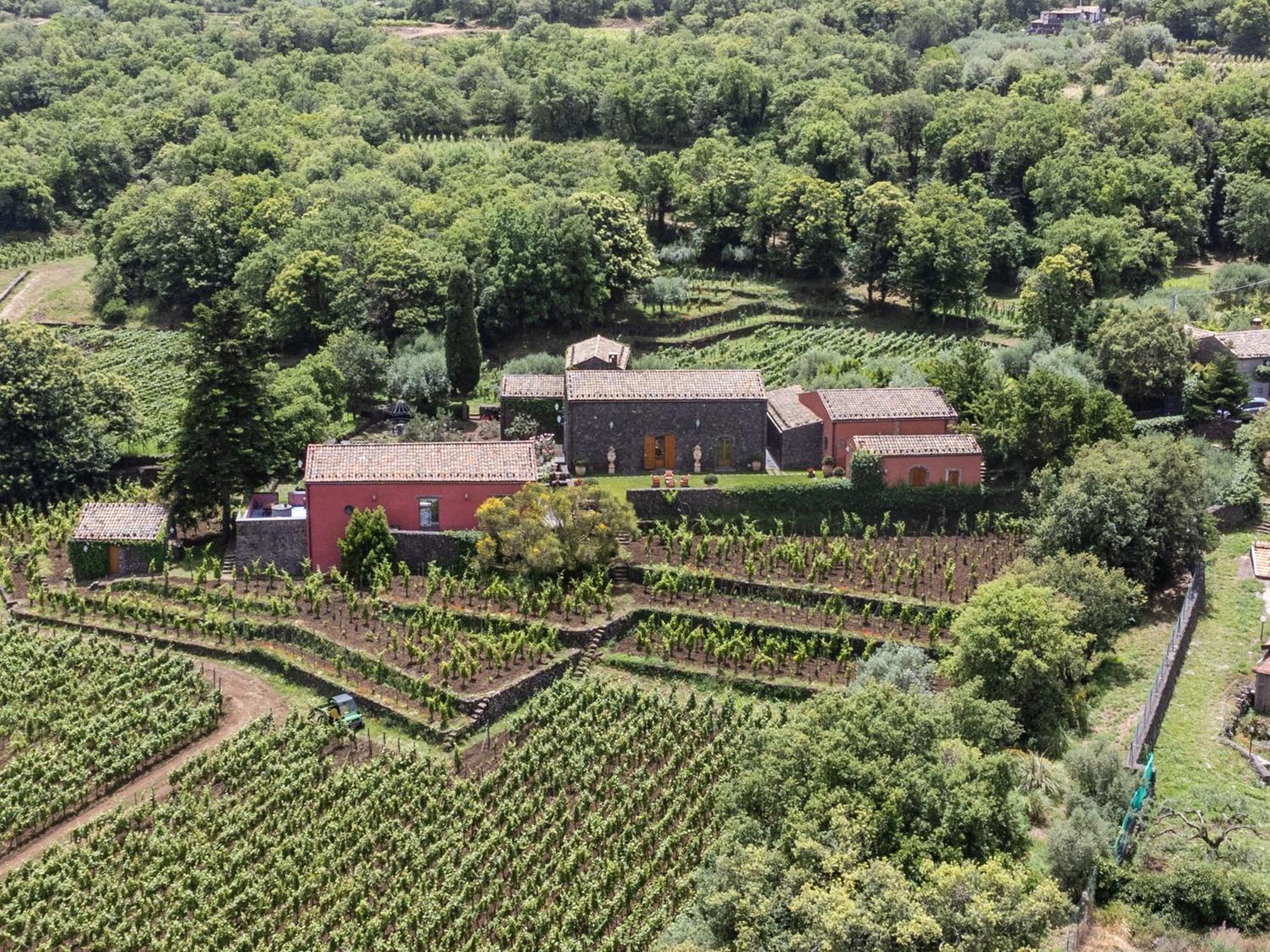 Terrazze Dell'Etna - Country Rooms And Apartments 란다조 외부 사진